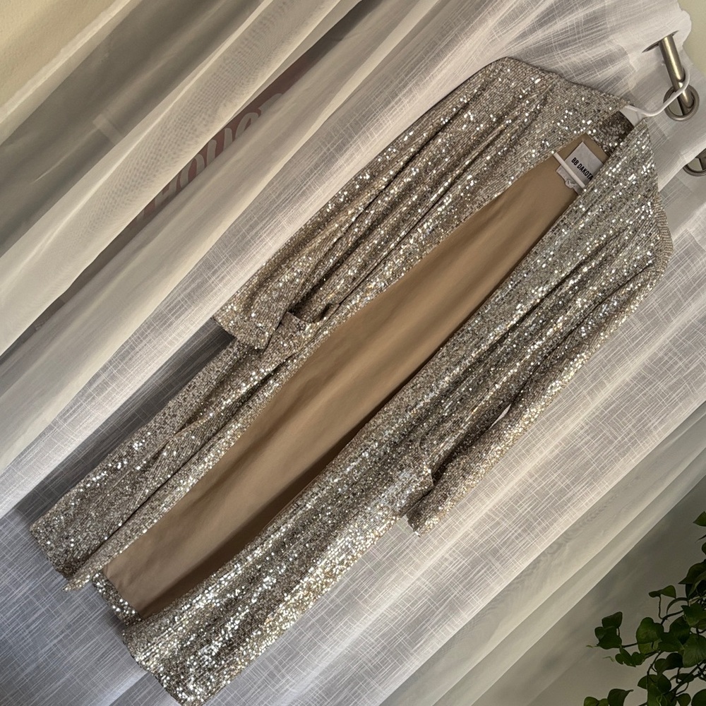 BB Dakota Silver Sequin Cardigan
